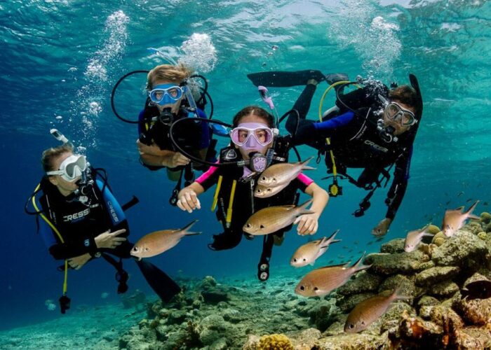 Unterwasserwunder - Ganztägiges Tauchausflug mit Mittagessen in Hurghada | Bootstour zur Orange Bay Insel