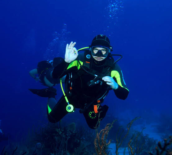 Ganztägiges Tauchausflug mit Mittagessen in Hurghada - Tauchstopp | Tauchausbildung Open Water Kurs Hurghada