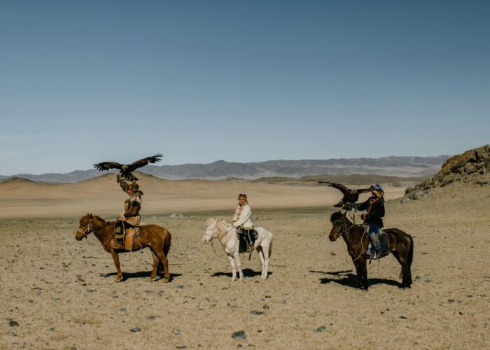 Reiten in der ägyptischen Wüste und Strand