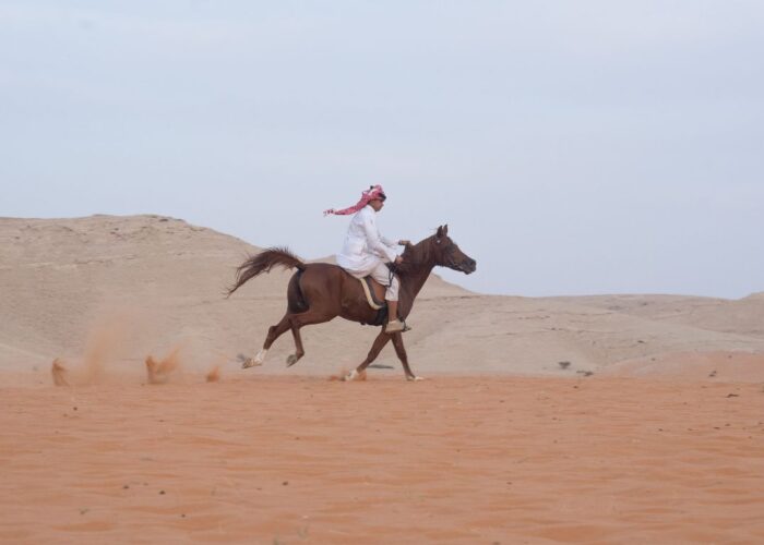 Reiten in der ägyptischen Wüste und Strand