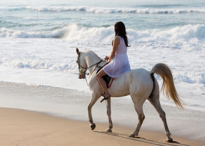 Reiten in der ägyptischen Wüste und Strand