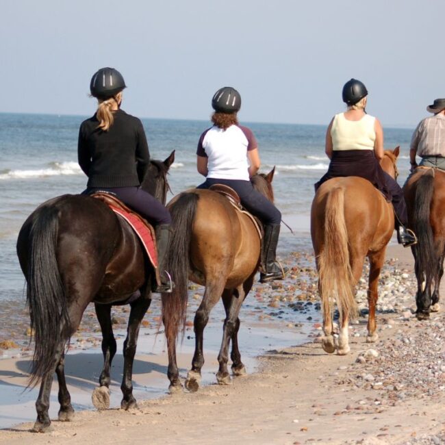 Reiten in der ägyptischen Wüste und Strand