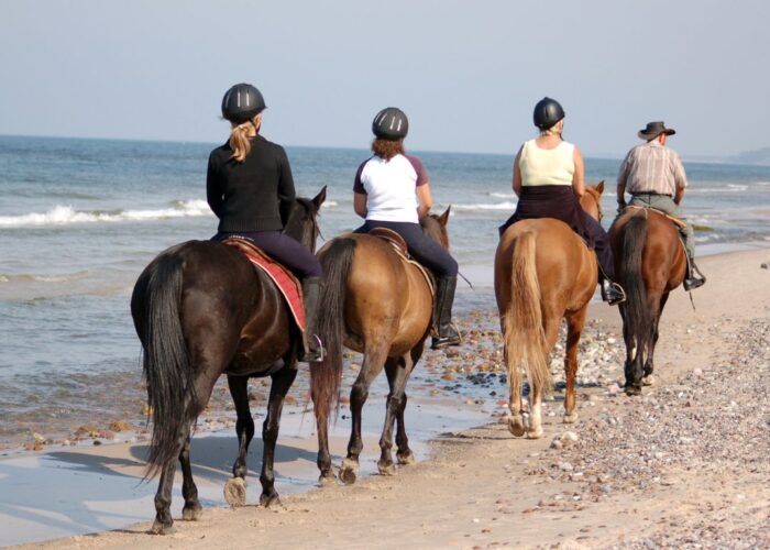 Reiten in der ägyptischen Wüste und Strand