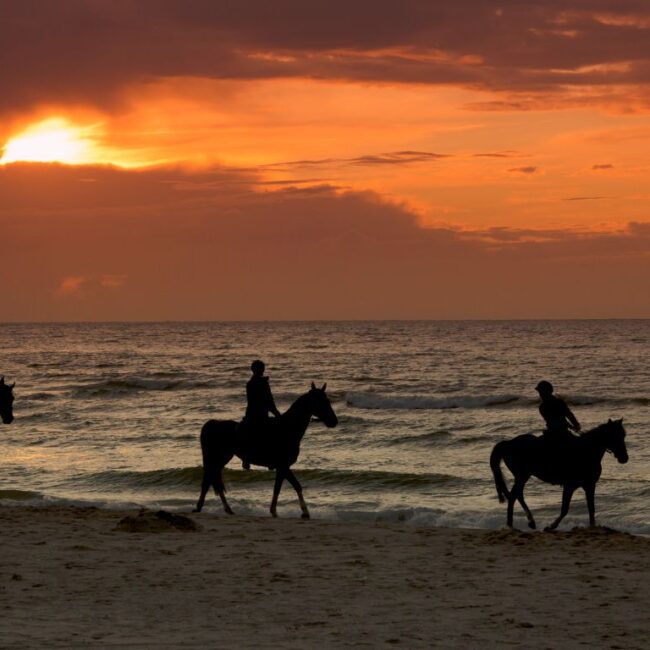 Reiten in der ägyptischen Wüste und Strand