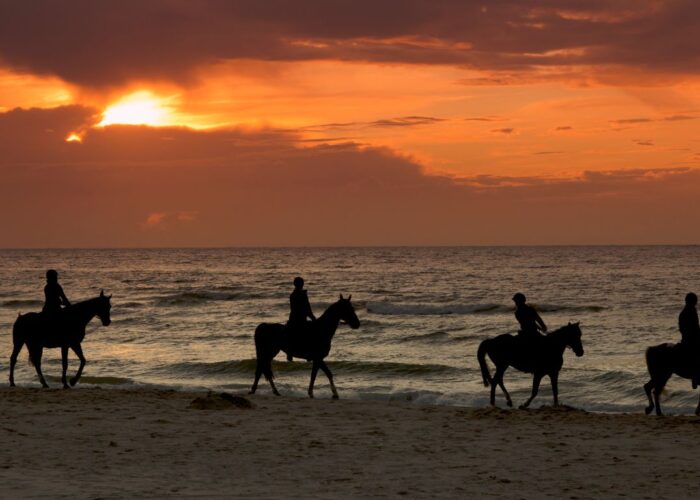 Reiten in der ägyptischen Wüste und Strand