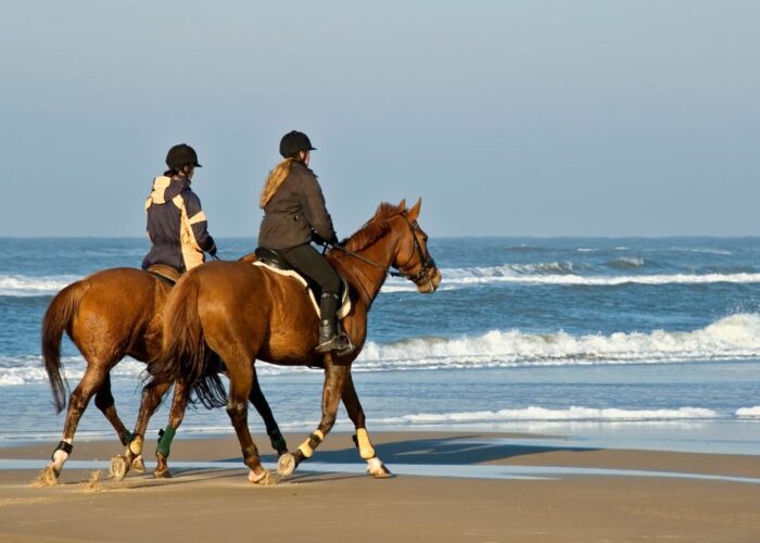 Reiten in der ägyptischen Wüste und Strand