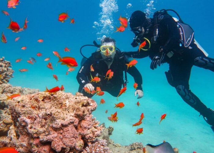 Ganztägiges Tauchausflug mit Mittagessen in Hurghada | Tauchausbildung Open Water Kurs Hurghada