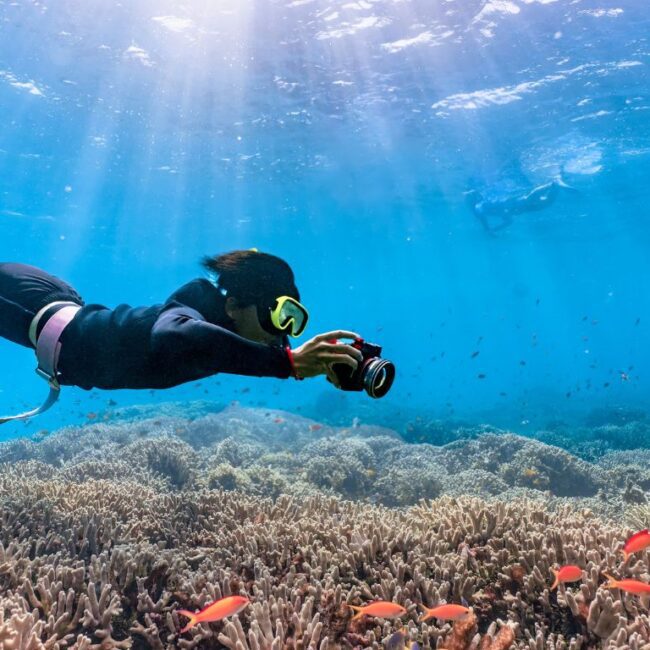 Ganztägiges Tauchausflug mit Mittagessen in Hurghada | Tauchausbildung Open Water Kurs Hurghada