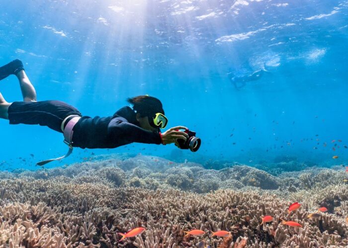 Ganztägiges Tauchausflug mit Mittagessen in Hurghada | Tauchausbildung Open Water Kurs Hurghada