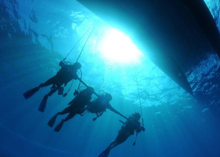 Ganztägiges Tauchausflug mit Mittagessen in Hurghada | Tauchausbildung Open Water Kurs Hurghada