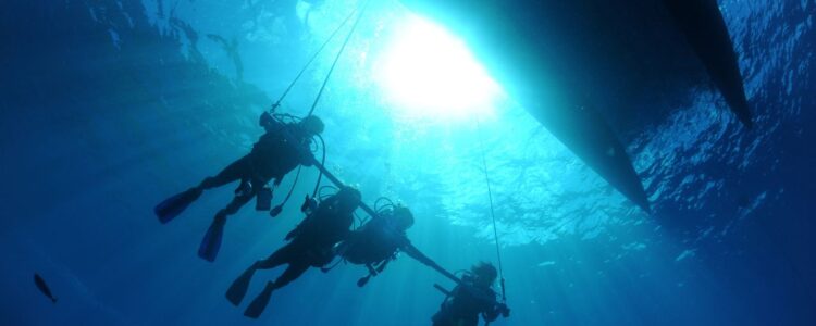 Ganztägiges Tauchausflug mit Mittagessen in Hurghada | Tauchausbildung Open Water Kurs Hurghada